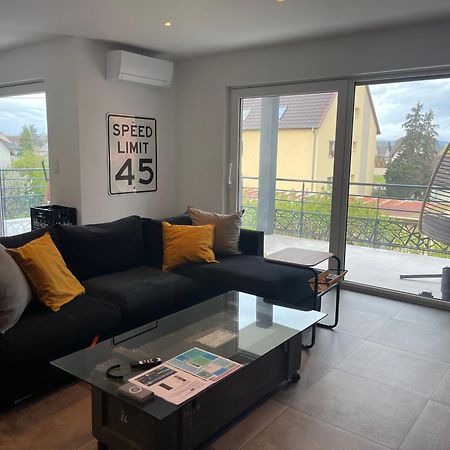 Colmar Appartement Terrasse 10Min Centre Ville Widensolen Exterior photo